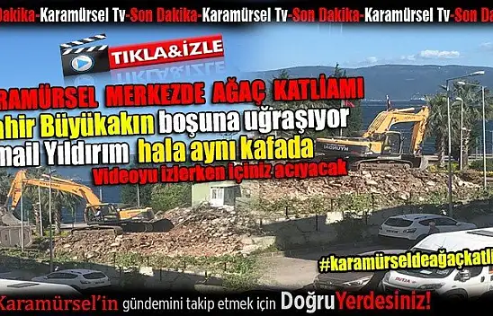 Karamürsel merkezde yapılan ağaç katliamı büyük tepki aldı!