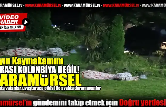 Karamürsel Sahilinde Endişe Veren Görüntüler