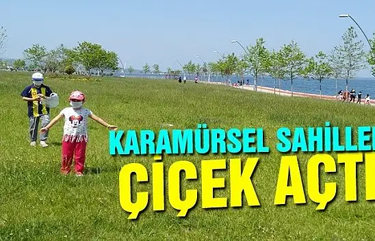 KARAMÜRSEL SAHİLLERİ ÇİÇEK AÇTI