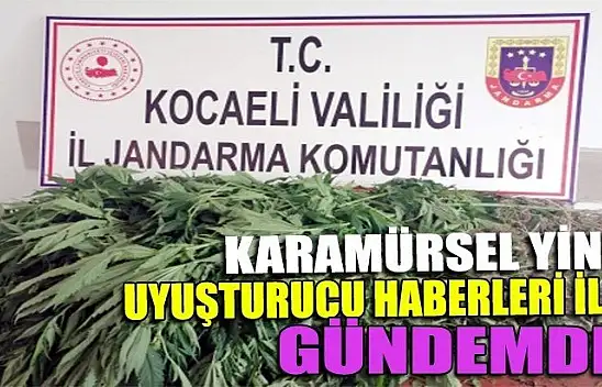 Karamürsel yine uyuşturucu tarlaları ile gündemde