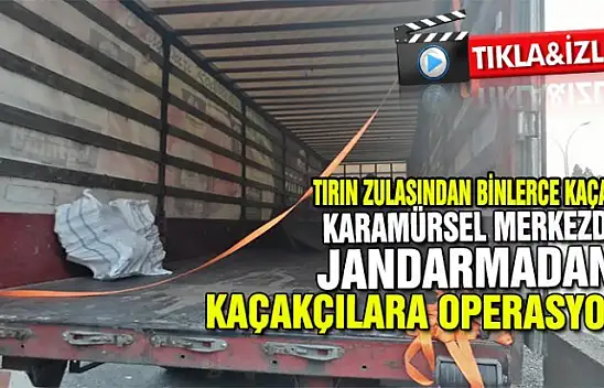 Karamürsel'de Kaçakçılara Jandarma operasyonu