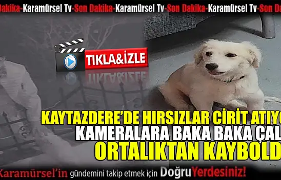 Kaytazdere'de hırsızlar cirit atıyor!
