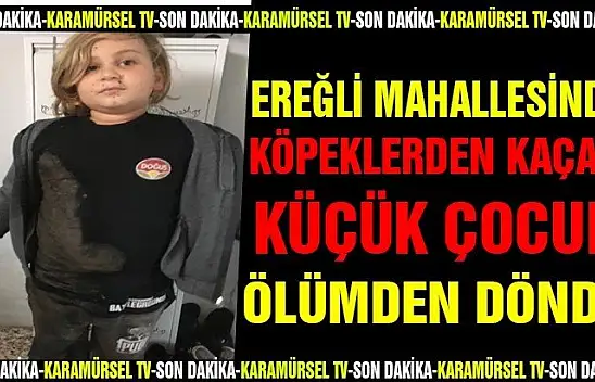 Köpeklerden kaçan küçük çocuk ölümden döndü