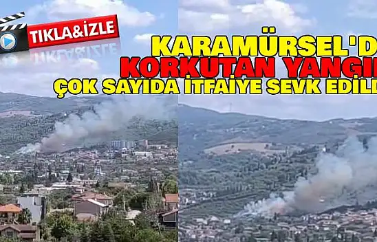 Korkutan Yangın: İtfaiye Ekipleri Seferber Oldu