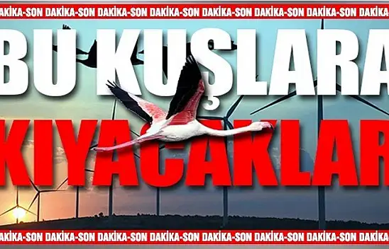 Kuş cennetine RES yapacaklar