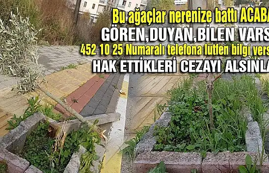 Lütfen paylaşın yakalanıp hak ettikleri cezayı alsınlar