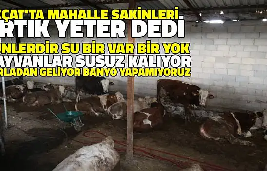 Mahallesi Sakinleri Su Sorununa İsyan Etti: 'Artık Yeter!'