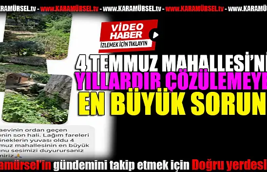 'Mikrop Saçıyor', Mahalle Fare ve Sinekle Boğuşuyor!