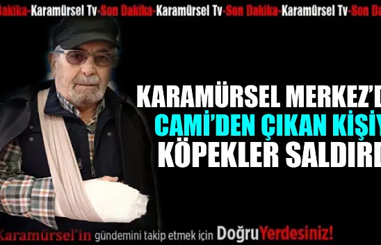 Namazdan çıktı Köpek Saldırısına Uğradı: Kolu Kırıldı