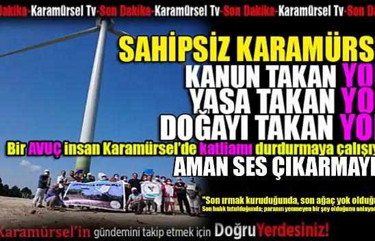 Orman ve Doğa katliamına engel olunulamıyor!