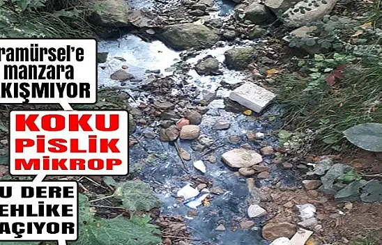 Pis kokular ve mikrop vatandaşı canından bezdirdi!