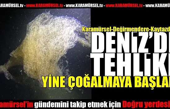 Prof. Dr. Mustafa Sarı, önemle uyardı! Tekrar geri geliyor!