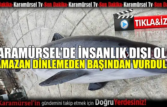 Ramazan günü demeden başından vurdular!