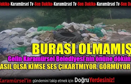 Sahipsiz Karamürsel'in içine etmeye devam ediyorlar!