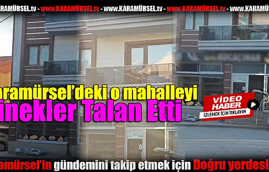 Sarıkum Mahallesi Sivrisinek İstilasına Uğradı!