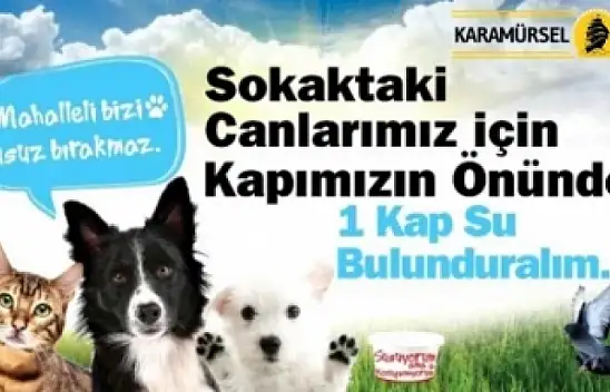 Susuyorlar ama söyleyemiyorlar !