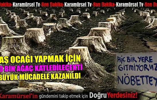 Taş ocağı yapılsaydı 50 bin ağaç katledilecekti