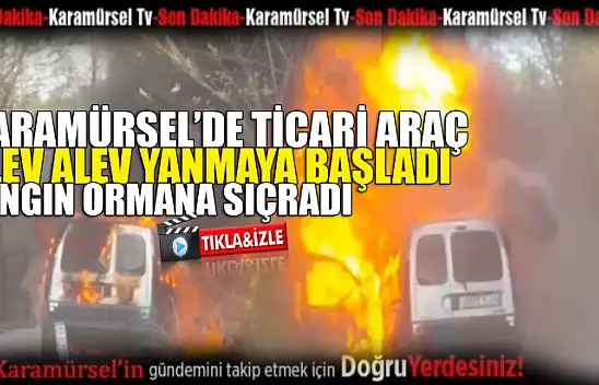Ticari araç alev, alev yandı! Yangın ormana sıçradı