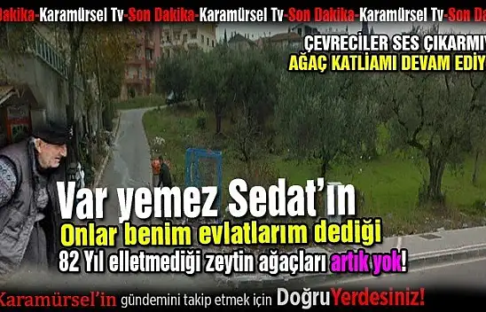 Var yemez Sedat amcanın kemikleri sızladı!