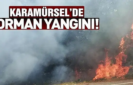 Karamürsel orman yangını