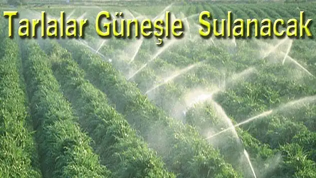 DÜNYADA İLK Tarlalar güneşle sulanacak