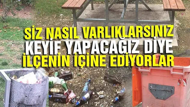 ALKOL İÇİP ETRAFIN İÇİNE EDİYORLAR!