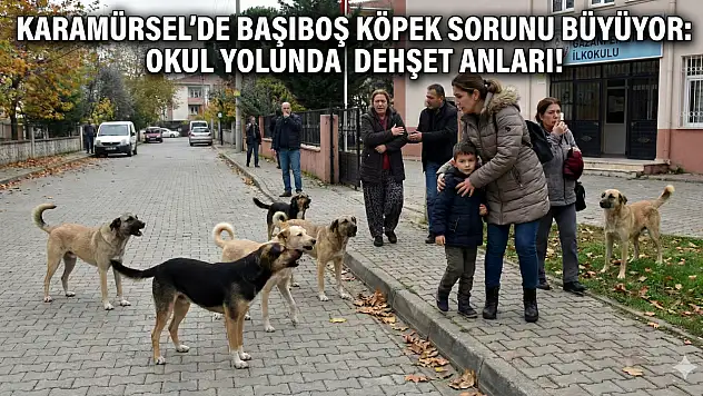 Anne ve Çocuklarına Köpek Sürüsü Saldırdı