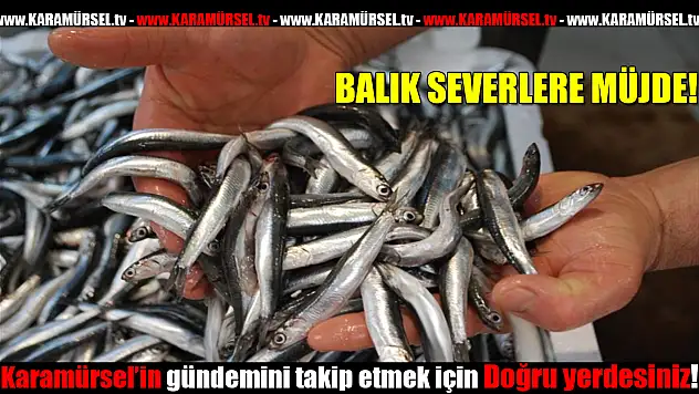 BALIK SEVERLERE MÜJDE!