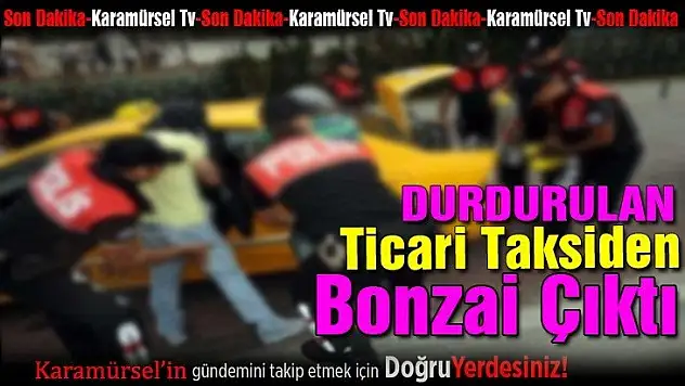 Durdurulan ticari taksiden bonzai çıktı!