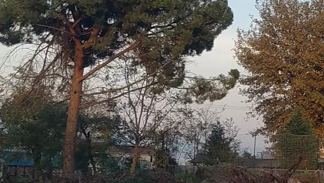 Ereğli'nin Kalbi Çöplüğe Dönüştü!