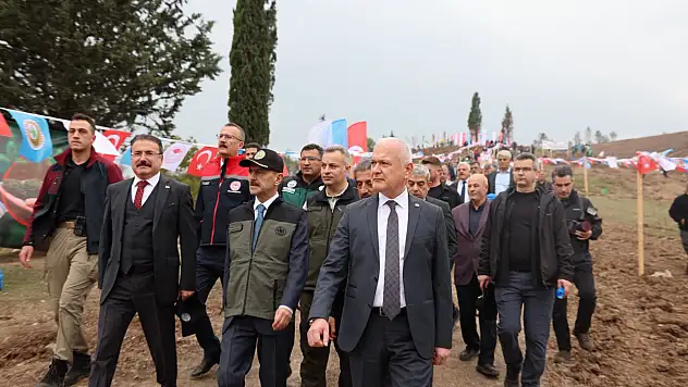 Karamürsel 3 Bin Fidanla Yeniden Hayat Buldu!