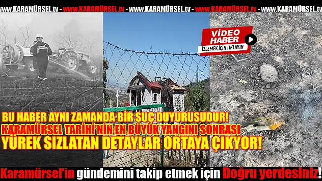 Karamürsel Alevlerle Boğuştu: Kalplerimiz de Yandı!