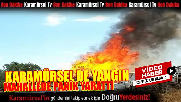 Karamürsel'de çıkan yangın paniğe neden oldu!