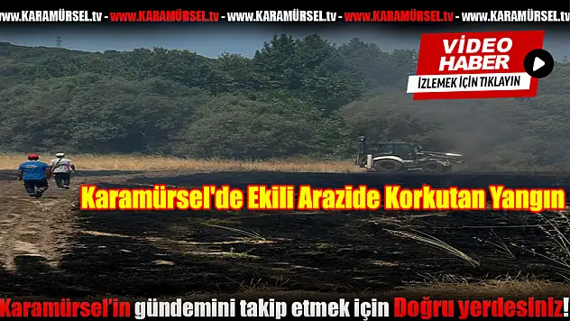 Karamürsel'de Ekili Arazide Korkutan Yangın