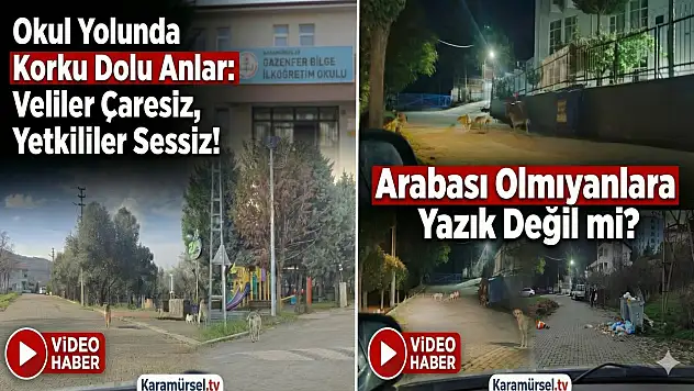 Karamürsel'de Okul Yolunda Büyük Tehlike
