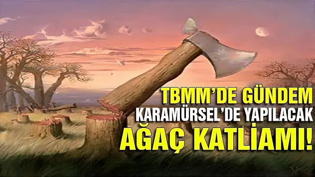 Karamürsel'de planlanan katliam meclis gündeminde! 