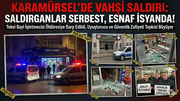 Karamürsel'de vahşi saldırı!