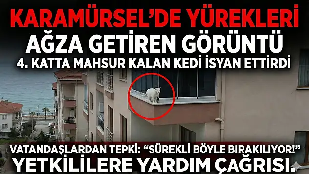 Karamürsel'de Yürekleri Ağza Getiren Görüntü!