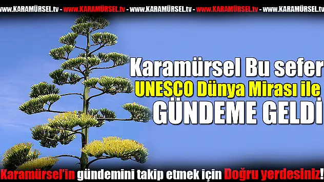 Karamürsel Ereğli'de Doğa Mucizesi