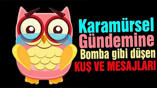 Karamürsel kuşu ilçeye bomba gibi düştü!