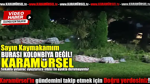 Karamürsel Sahilinde Endişe Veren Görüntüler