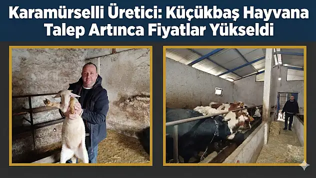 Karamürselli Et Üreticiden Piyaslizi