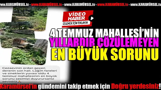 'Mikrop Saçıyor', Mahalle Fare ve Sinekle Boğuşuyor!