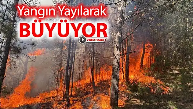 Orman Yangını Yerleşim Yerlerine Dayandı!