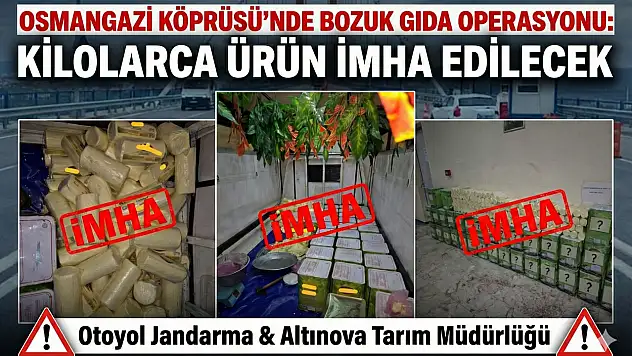 Osmangazi Köprüsü'nde yüklü miktarda Bozuk Gıda Ele Geçirildi