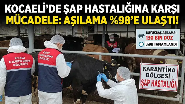 ŞAP TEHDİDİNE KARŞI DEV ÖNLEM