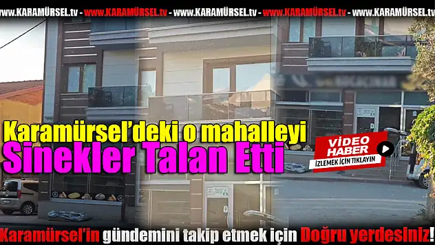 Sarıkum Mahallesi Sivrisinek İstilasına Uğradı!