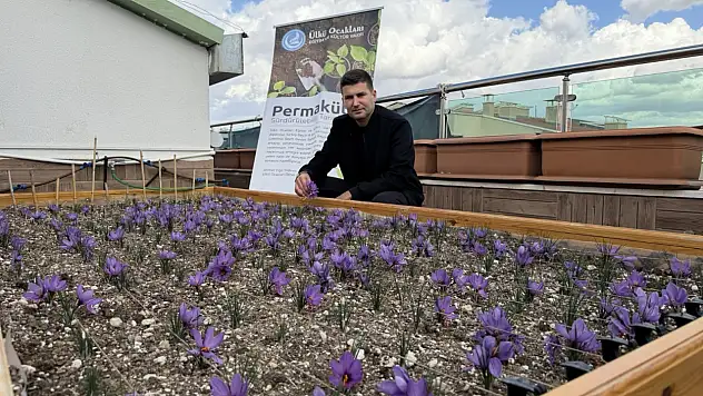 Ülkü Ocakları Genel Merkezi'nden muhteşem proje