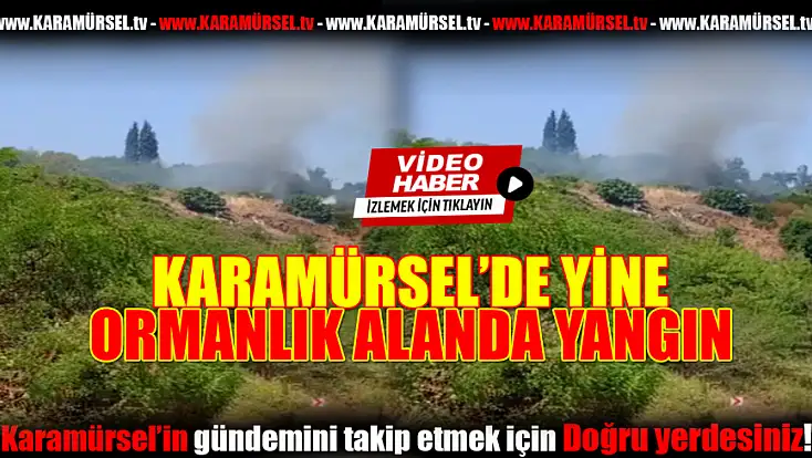 Karamürsel'de Korkutan Yangın!