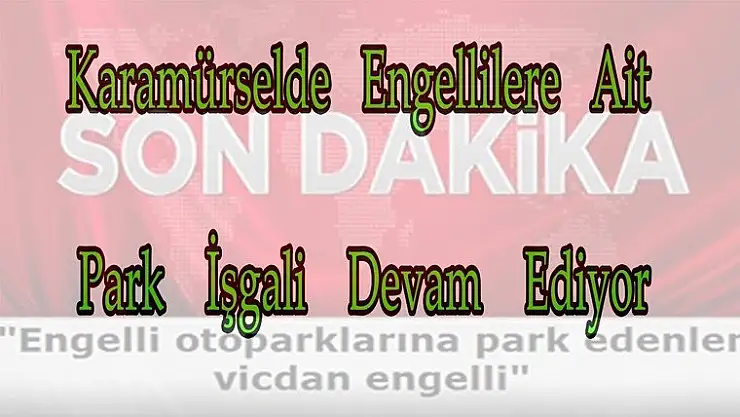 Caddelerde engellilere ait park işgali devam ediyor